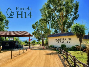 Terreno en venta en Parcela Premium en Foresta Zapallar Seguridad, Naturaleza
