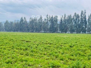 Terreno en venta en Privilegiadas Parcelas en Paine (127882), Paine