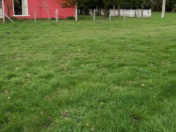 Terreno en venta en Sector casma (63543), Frutillar