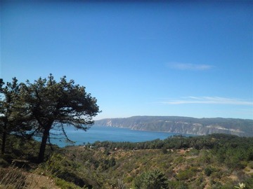 Venta / Parcela / Valparaíso