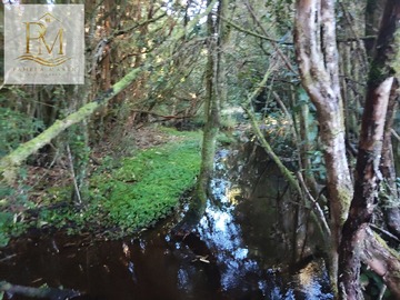 Terreno Agricola en venta en Curaco de Vélez, Curaco de Vélez