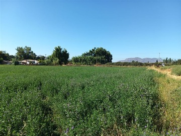 Sitio en venta en Luis Cruz Martínez / Camino El Noviciado, Pudahuel