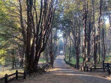 Parcela en venta en Malalcahuello, Curacautín