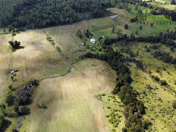 Terreno Agricola en venta en A 8 km de Los Muermos y 2 km de Cañitas, Los Muermos - 2 dormitorios, 1 baño