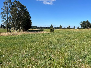 Terreno en venta en Venta parcela a solo 4km de Osorno (172533), Osorno