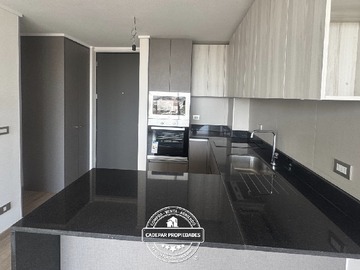 Departamento en arriendo mensual en Av. Departamental 3516, Macul - 1 dormitorio, 1 baño