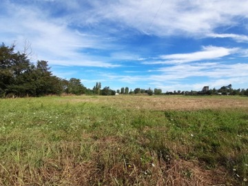Venta / Parcela / Chillán