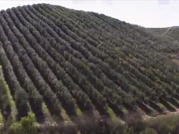 Parcela en venta en Fundo los Olivos Camino a Pencahue a 10 Minutos de Talca, Talca