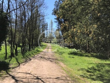 Terreno Agricola en venta en Cumpeo, Río Claro