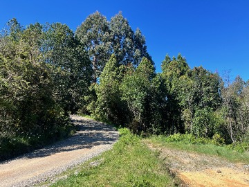 Parcela en venta en Agua del Obispo, Valdivia