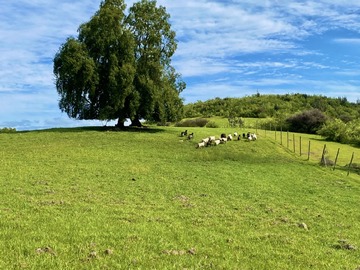 Terreno en venta en Terreno a los pies de la carretera, Litueche
