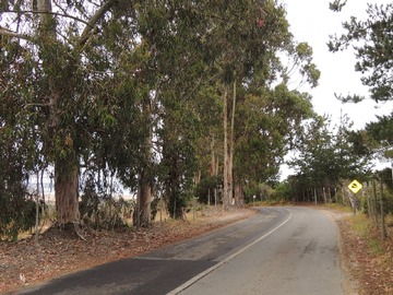 Parcela en venta en Tunquen, Algarrobo