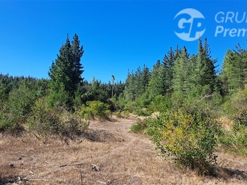 Parcela en venta en Ruta Q-15. Camino a Pedregal., Los Ángeles