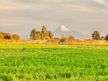 Parcela en venta en Desagüe rupanco, Puyehue