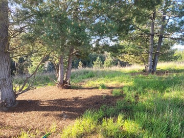 Parcela en venta en 925V+C7 Paredones, Chile, Paredones