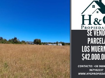 Parcela en venta en Los Muermos, Los Muermos