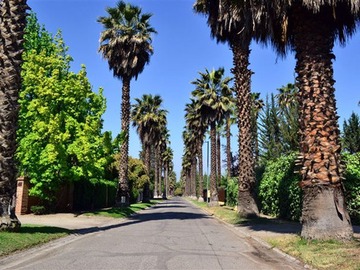 Parcela en venta en Parcela 5000 mt2 en venta lo pinto / colina, Colina - 4 dormitorios, 4 baños