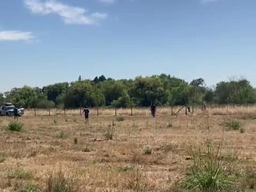 Parcela en venta en Parcela Gaona, San Carlos, Ñuble