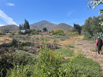 Sitio en venta en Camino a pisco de elqui, La Serena