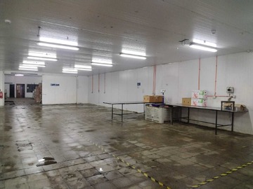 Terreno Industrial en venta en Terreno Industrial 12.000 m² – Ideal Logística (181794), Rengo