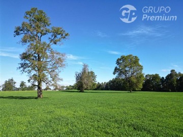 Parcela en venta en Corte alto purranque region de los lagos, Purranque