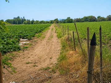 Terreno Agricola en venta en calle V. Ascencio, Rengo
