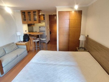 Arriendo Mensual / Departamento / Providencia