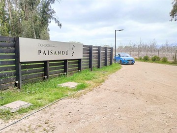 Parcela en venta en Camino carampangue, Talagante