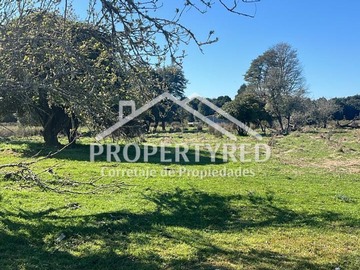 Terreno en venta en luz y agua (168785), Los Muermos
