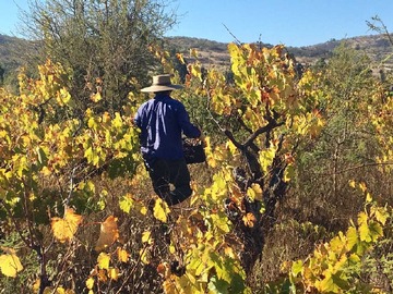 Terreno en venta en Parcelas en la ruta del vino (64637), Lolol