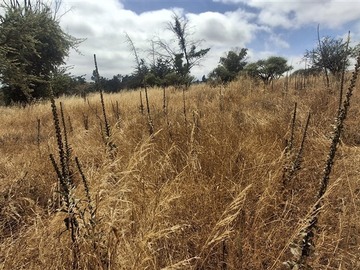 Sitio en venta en Parcela Juegos Popeta 375, Melipilla