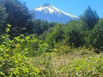 Terreno en venta en Huincacara Camino Collico, Villarrica