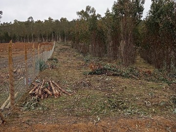 Sitio en venta en Sitio 5000m3