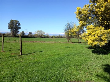 Parcela en venta en Sector Mariposas 2 Norte Km 6.8, San Clemente