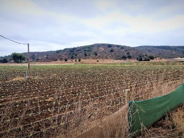 Terreno Agricola en venta en El Huape, Rautén Bajo, Lote 38 19, Quillota, Quillota