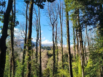 Terreno en venta en Venta de parcelas Eco Llaima (116882), Temuco