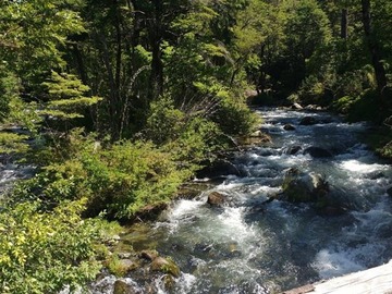 Parcela en venta en Acceso a Rio Trancura, Pucón hacia paso internacional Mamuil Malal comuna de Curarrehue, Curarrehue