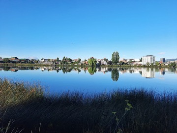 Local Comercial en venta en Cercano a la calle isabel rodas, Valdivia - 1 dormitorio, 1 baño