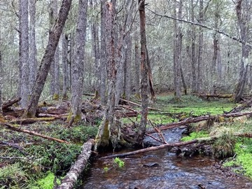 Parcela en venta en Aguas del cerro negro a pocos kilometros del centro koyhaique, Coyhaique