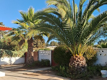 Casa en venta en Ruta f 90, Algarrobo - 4 dormitorios, 2 baños