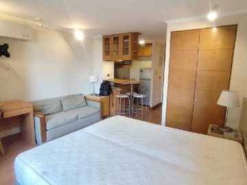 Departamento en arriendo mensual en Arriendo maravilloso Dpto Estudio Providencia (168190), Providencia