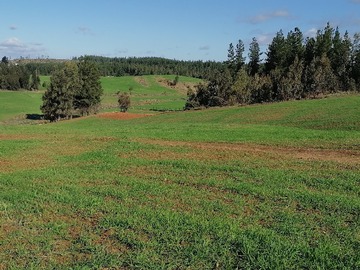 Terreno en venta en Vendo Hermoso Terreno 5000 M2 Cauquenes
