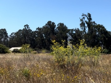 Parcela en venta en Ruta e462, Zapallar