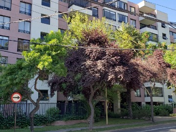 Departamento en arriendo mensual en María Teresa 6286, Las Condes, Región Metropolitana de Santiago 7550000, Chile, Las Condes - 2 dormitorios, 2 baños