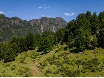 Parcela en venta en Rinconada de pucon, Curarrehue - 1 dormitorio, 1 baño