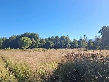Terreno en venta en Terreno 1.6 Hectarea Rio Bueno (172573), Río Bueno