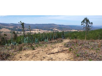 Terreno Agricola en venta en Boyeruca, Paredones