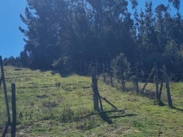 Terreno Agricola en venta en Nininco, Angol