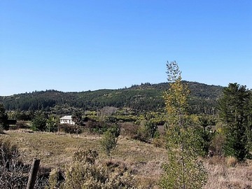 Terreno en venta en Cauquenes camino a Chanco, M-50 / 4 hectáreas (116374), Cauquenes - 5 dormitorios, 2 baños