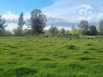 Parcela en venta en santa paula quepe comuna freire, Freire